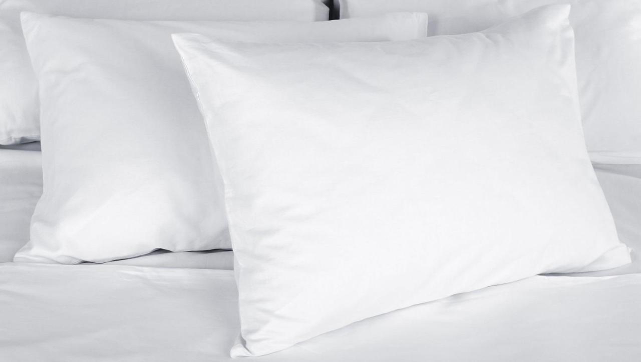 Blue Mist Motel فلورنس المظهر الخارجي الصورة